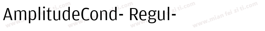 AmplitudeCond- Regul字体转换